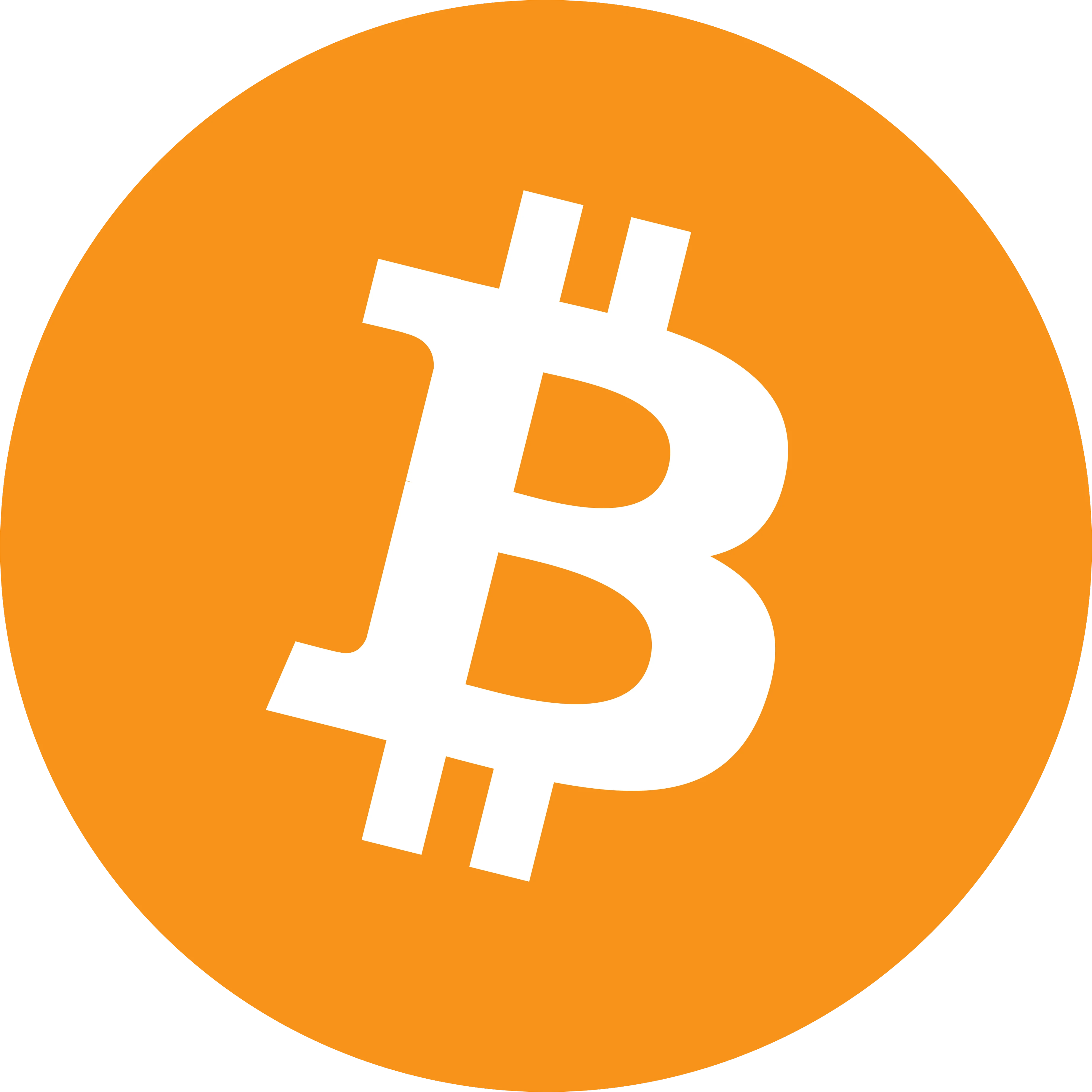 Bitcoin och annan krypto